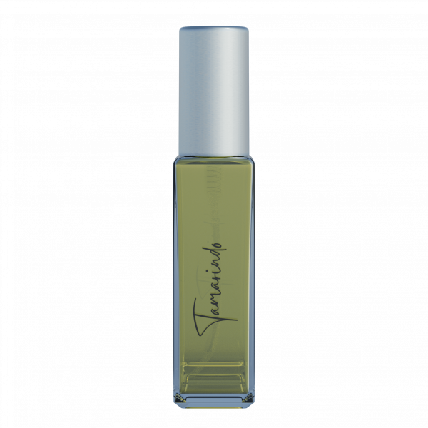 Tamarindo Traveler